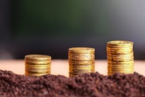 Rácio de Liquidez Imediata: o que é e qual a sua importância para as Empresas